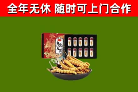 兴平市回收冬虫夏草价格